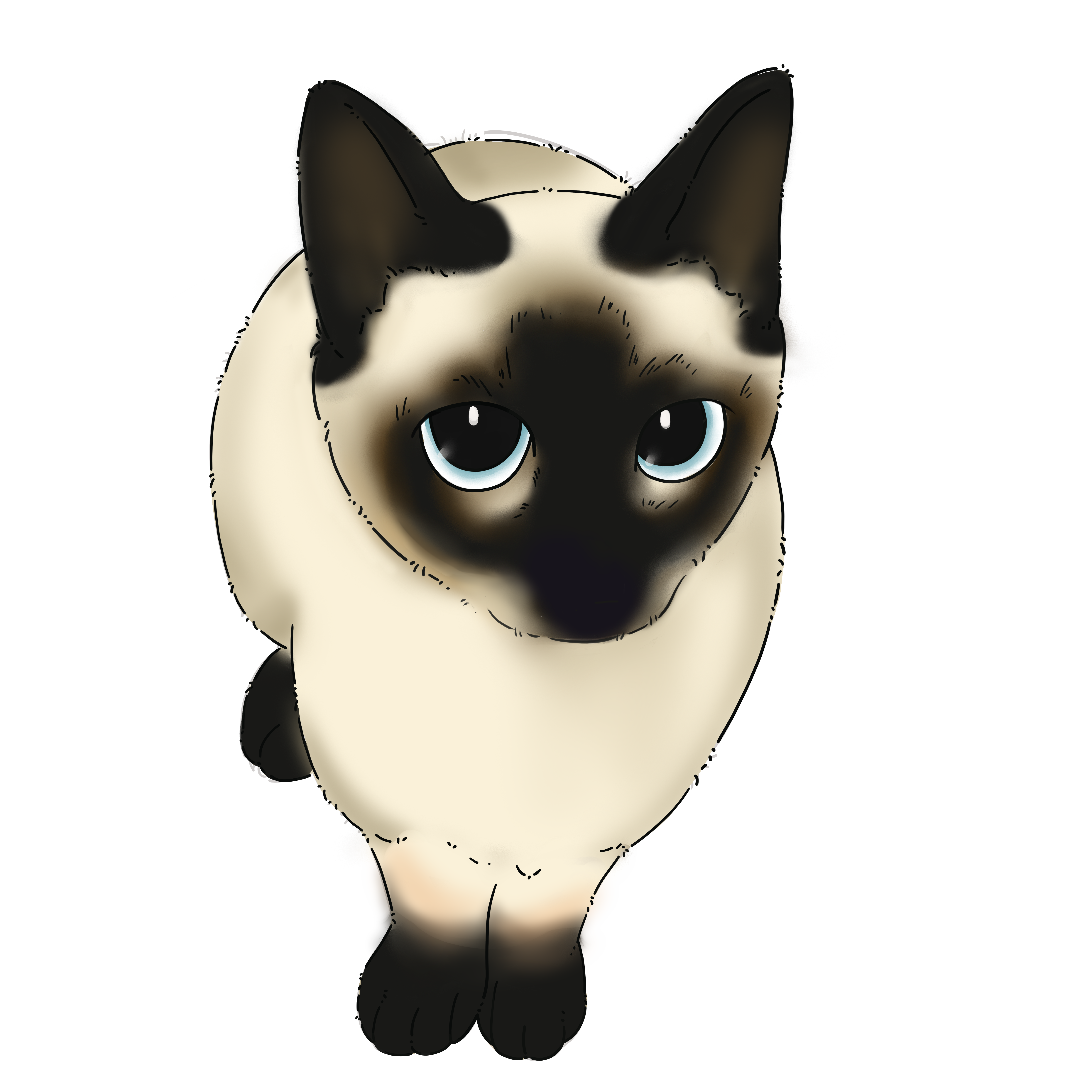 黑脸阿猫